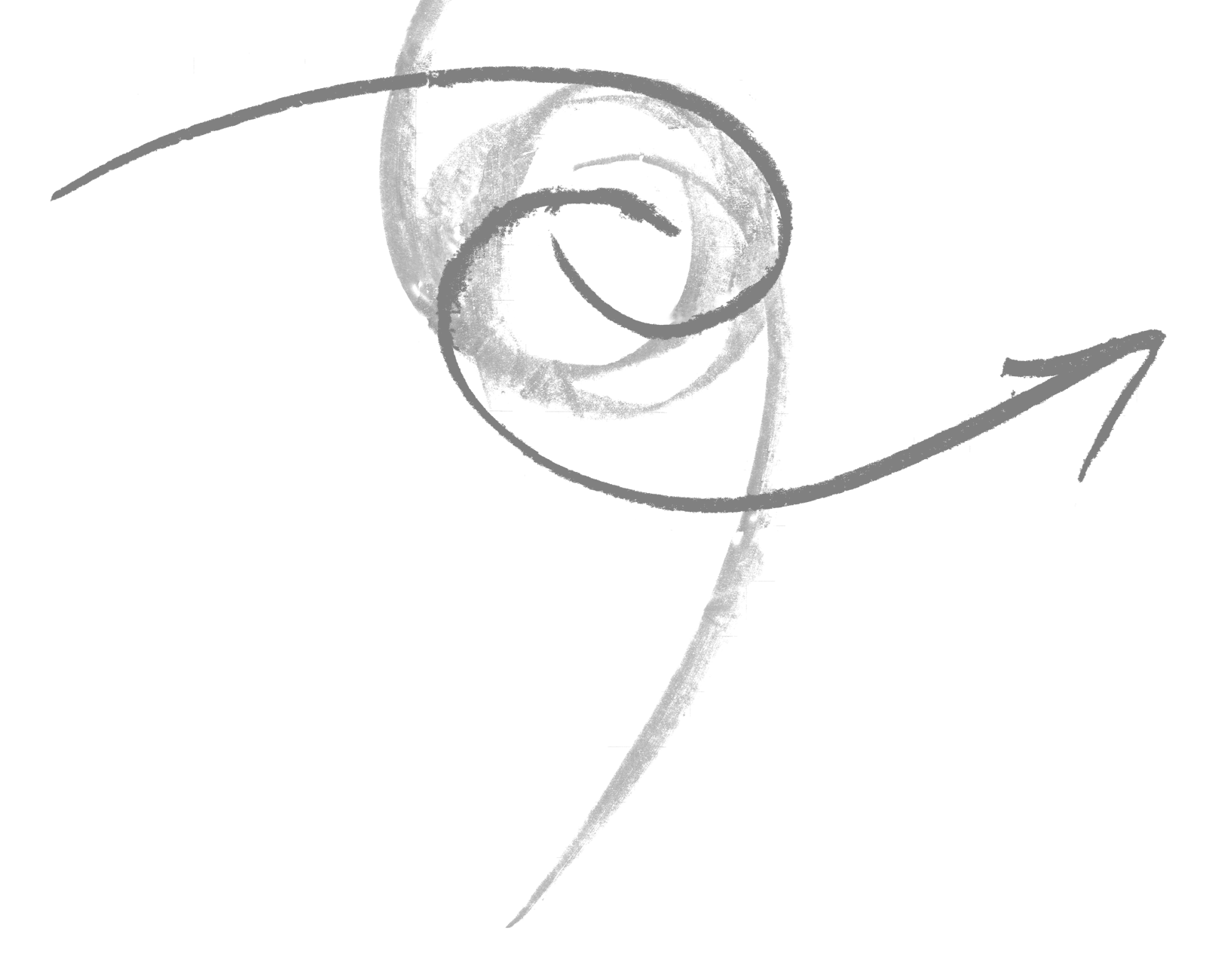 WZQ Logo